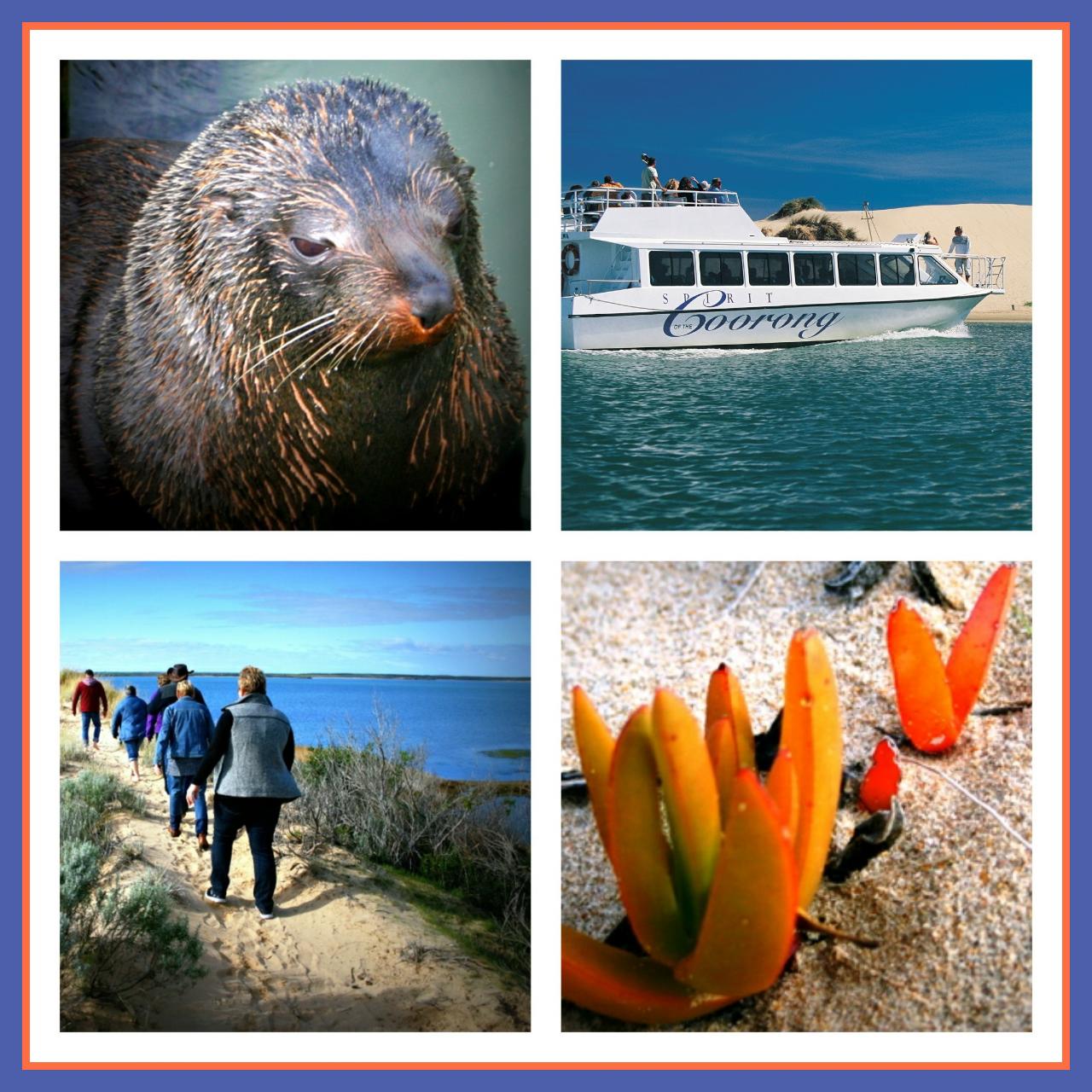 Coorong Adventure 6 Hour Cruise - EX Outer Harbor & Adelaide CBD